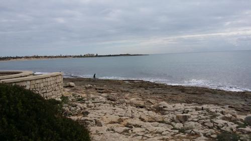 Pineta Monserrato – Photos 5