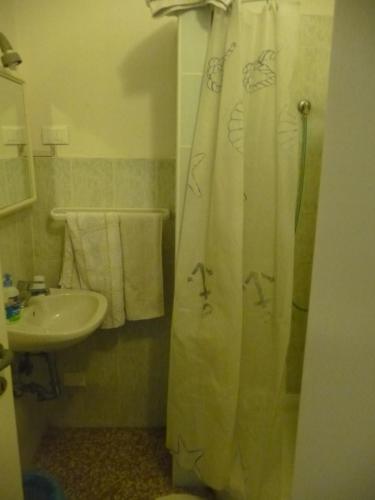 a bathroom with a shower curtain and a sink at Appartamento Daniele in Mestre