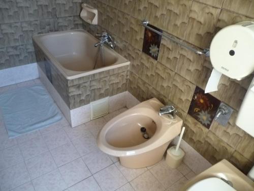 Appartamento Franca في ميستر: حمام مع مرحاض وحوض استحمام