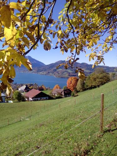 a field with a farm and a lake in the background at Biohof Schwanser in Steinbach am Attersee