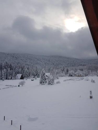 L'établissement Mountain house Popović Tara en hiver