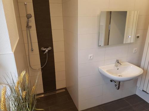 Koupelna v ubytování Ferienhaus im Erzgebirge