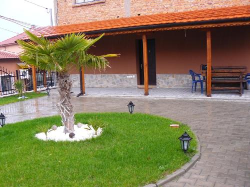 a palm tree in the grass in front of a building at Guest House Nani in Asenovgrad
