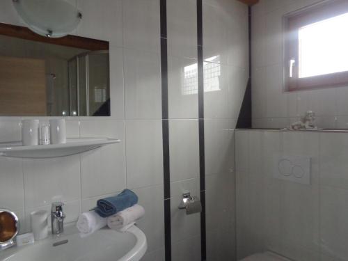 a bathroom with a shower and a sink and a mirror at Appartements Martha in Matrei in Osttirol