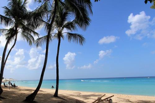 two palm trees on a beach with the ocean at Turtle Ridge Apartments in Saint James