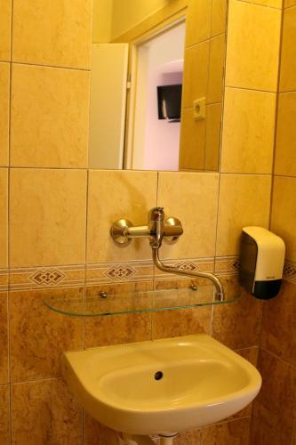 a bathroom with a sink and a mirror at Penzion Vulture Havířov in Havířov
