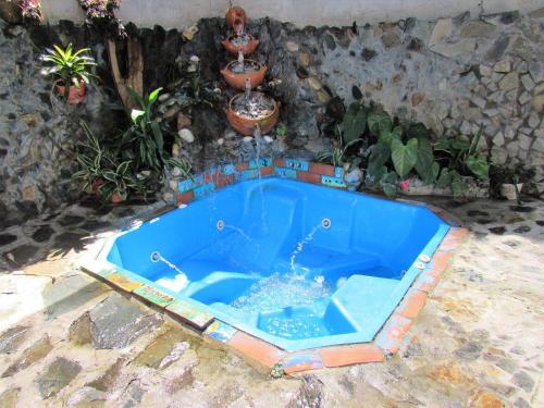 a swimming pool in a yard with potted plants at Hotel B & C in Mariquita