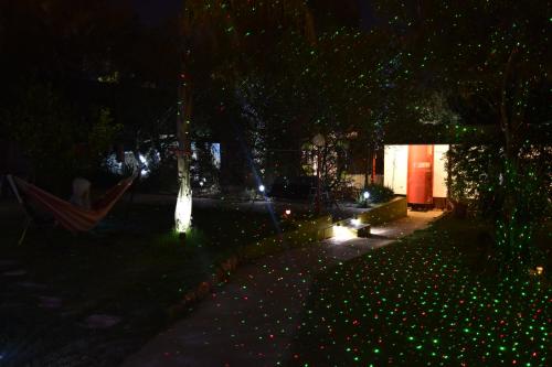 Un jardín fuera de Alice's Secret Travellers Inn