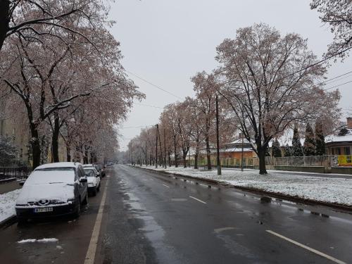 a snow covered street with cars parked on it at Lia Apartman in Kiskunhalas