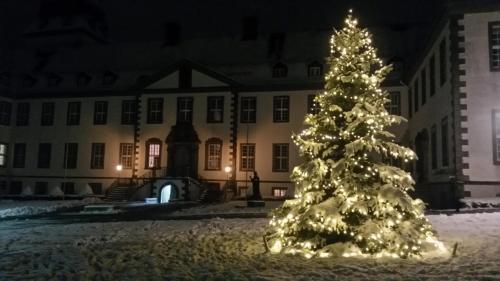 a christmas tree in front of a building at night at Ferienwohnung & Gästezimmer Schrichten in Schmallenberg