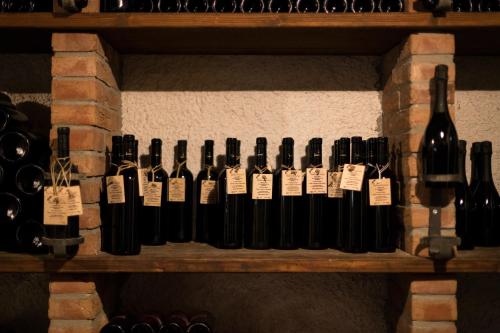 a bunch of bottles of wine on a shelf at Guest House Valentincic in Nova Gorica