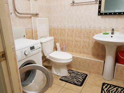 スタールイ・オスコルにあるКвартира на Степном с панорамными окнамиのバスルーム(トイレ、洗面台、洗濯機付)