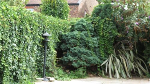 Photo de la galerie de l'établissement Beach house, à Crosby