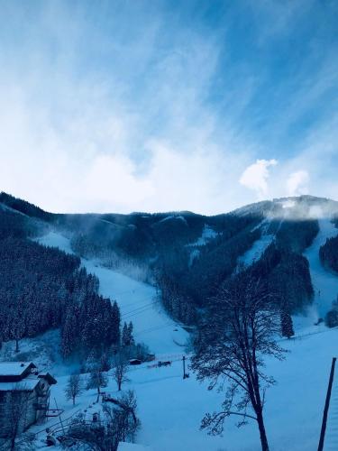 a view of a snowy mountain with trees at Sunny Ferienwohnungen Ski In - Ski Out - Self Check-in in Zell am See