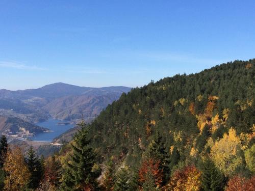 a view of a mountain with trees and a lake at Konaci Zaovljanska jezera in Zaovine