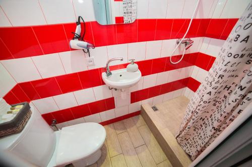 リヴィウにあるMini Economy apartments in the central part of Lviv- Krekhivska 7の赤と白のバスルーム(トイレ、洗面台付)
