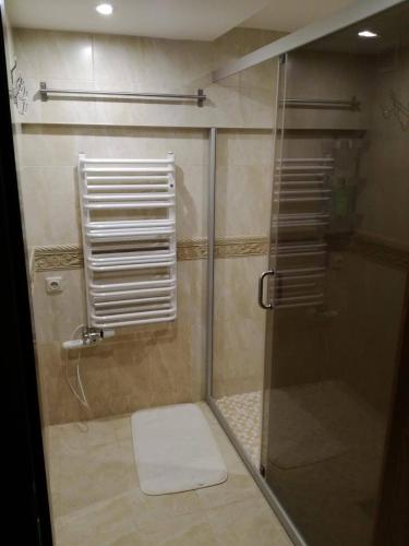 a shower with a glass door in a bathroom at Apartamentai Klonio g. in Druskininkai