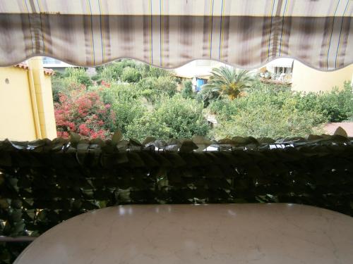 a window with a view of trees and bushes at Antonios Rooms in Akrata