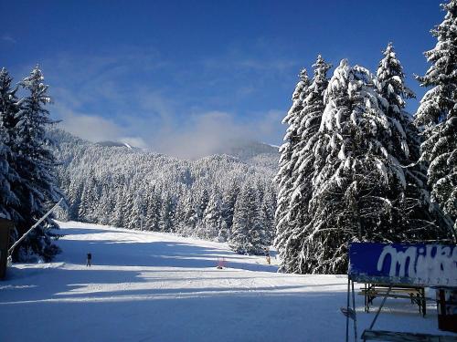 a ski slope with snow covered trees on a mountain at Apartment in Infinity Aparthotel in Bansko