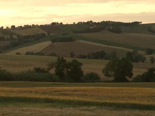 a view of the rolling hills of a field at Il Giardino nella Valle in Belvedere Ostrense