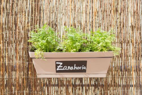 a pot of plants hanging on a wall at Ibis Barcelona Castelldefels in Castelldefels