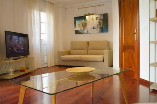 APT GIBRALHORCE SUITE by Malaga Picasso Rentals Selection