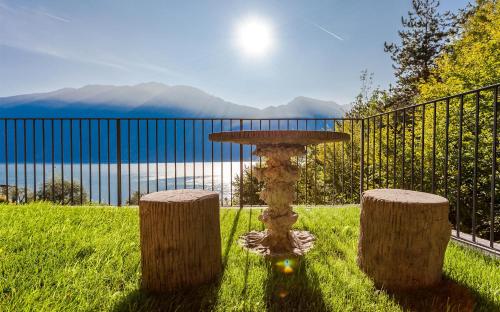 a bird bath sitting in the grass next to two logs at Hotel La Gardenia & Villa Oleandra in Limone sul Garda