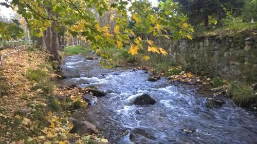 a stream of water with rocks and trees at Indywidualne Gospodarstwo Rolne Agroturystyka Gościniec Pod Czeremchą Małgorzata Szczepanek in Stronie Śląskie