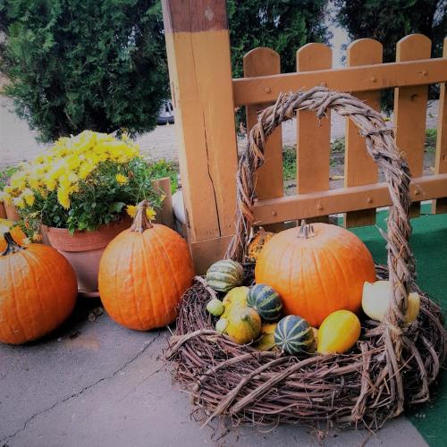 a basket of pumpkins and gourds next to a fence at Zsigmond Vendégház in Villány