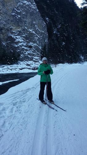 a person is standing on skis in the snow at Rekreačna usadlosť Pieninka in Lesnica