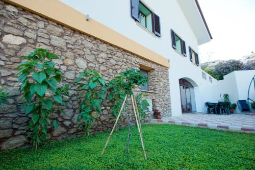 Zahrada ubytování Casale La Zagara
