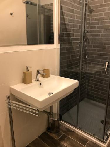 a bathroom with a sink and a shower at B&B Fiera Maglo' in Bologna