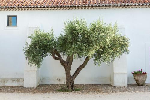 Κήπος έξω από το Herdade da Maxuqueira
