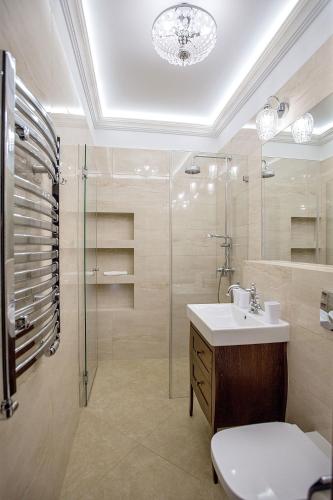 a bathroom with a shower and a sink and a toilet at Hotel Zamek Chałupki in Chałupki