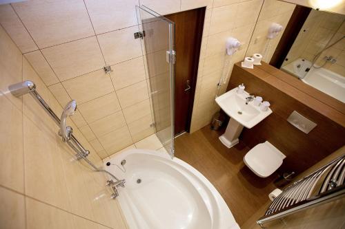 a bathroom with a toilet and a sink and a shower at Hotel Zamek Chałupki in Chałupki