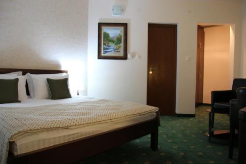 a hotel room with a bed and a chair at Hotel Trebjesa in Nikšić