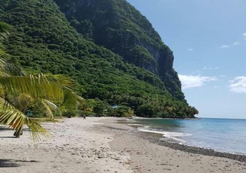 a beach with a tree covered hill next to the ocean at Simon says Grand View Villa in Soufrière