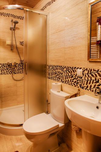 a bathroom with a toilet and a shower and a sink at Aleksandrówka - Domek Anastazja in Trześcianka
