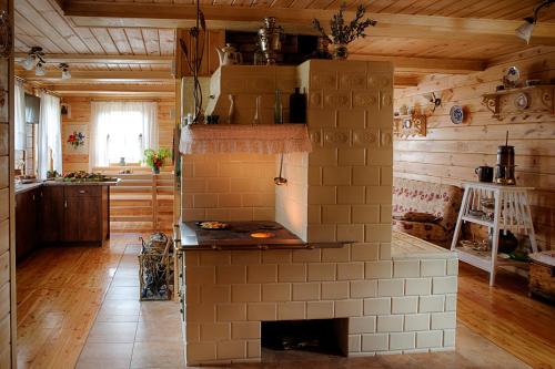 a kitchen with a brick oven in the middle of a room at Aleksandrówka - Domek Anastazja in Trześcianka