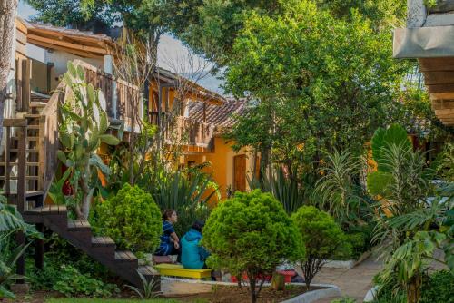 Gallery image of Rossco Backpackers Hostel in San Cristóbal de Las Casas