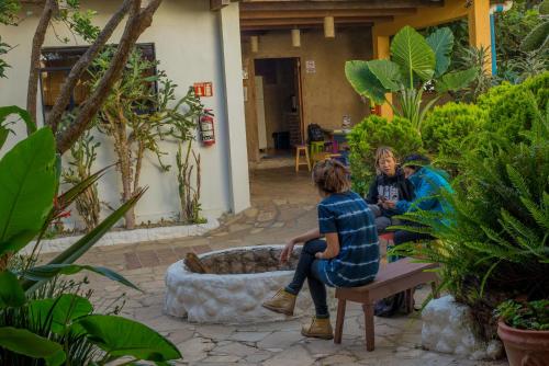 three women sitting on a bench in a garden at Rossco Hostel & Hotel in San Cristóbal de Las Casas