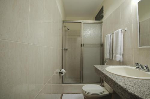 a bathroom with a shower and a toilet and a sink at Hotel Castilla in David