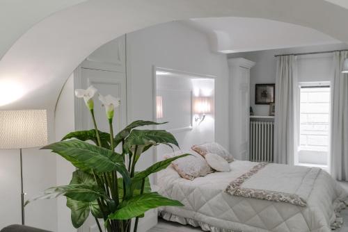 Rinaldi Loft