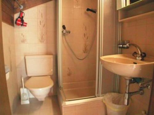 a bathroom with a shower and a toilet and a sink at Haus Arbgrat in Zermatt