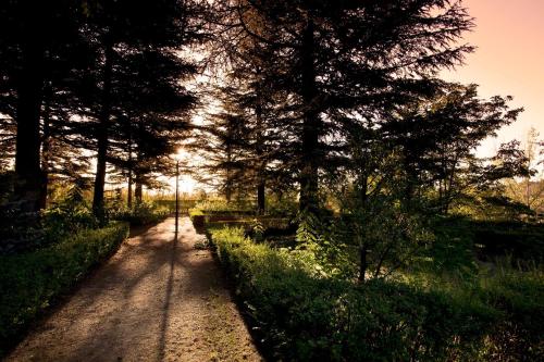 a dirt road with trees on the side of it at Parador de Teruel in Teruel