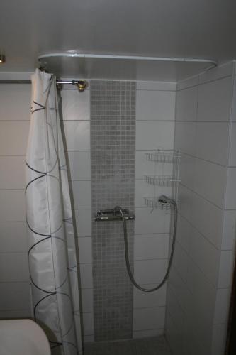 a bathroom with a shower with a shower curtain at Lilla Huset på Slätten B&B in Lund