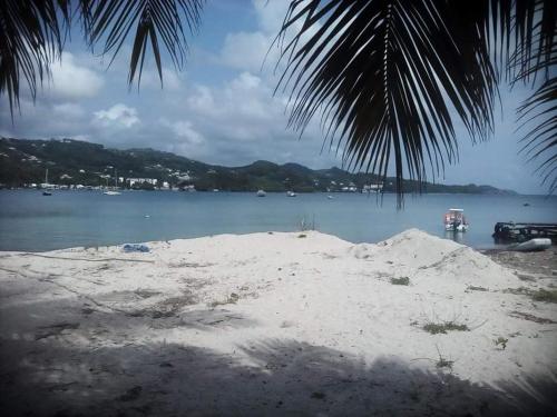 a beach with a palm tree and a body of water at Meryem in La Trinité
