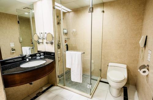 Fullon Hotel Jhongli في تشونغلي: حمام مع مرحاض ومغسلة ودش