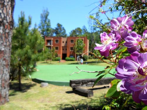 a bunch of purple flowers in front of a building at Rincon del Este Resort in Punta del Este