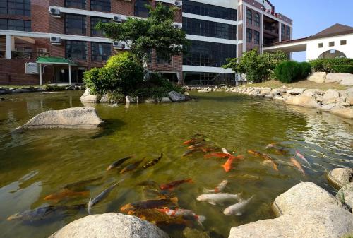 Vista de un río cerca de este hotel